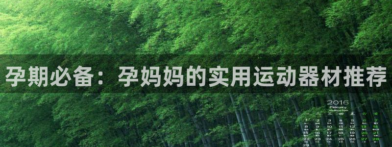 yy易游体育官方正版app集团官网网址:孕期必备:孕妈妈的实