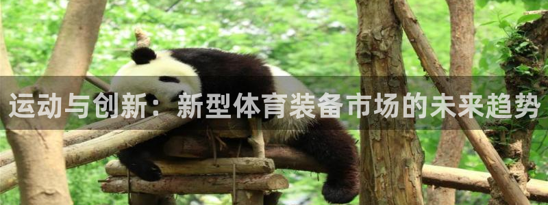 yy易游体育官网下载联系电话:运动与创新:新型体育装备市场的